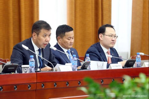 Н.Мандуул: Ноос, ноолуур, сүү, оёдлын салбарын төсөлд Хөгжлийн банк 150 тэрбумын алдагдал хүлээсэн